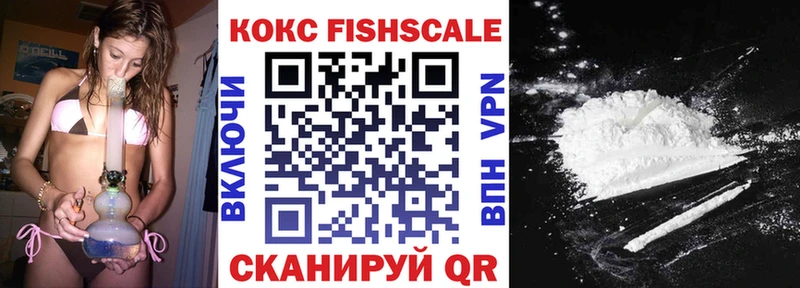 Кокаин Fish Scale  купить наркотики сайты  Камышин 