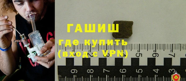 индика Каменка