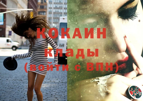 индика Каменка