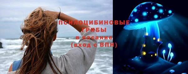 индика Каменка