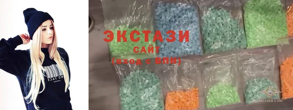 индика Каменка