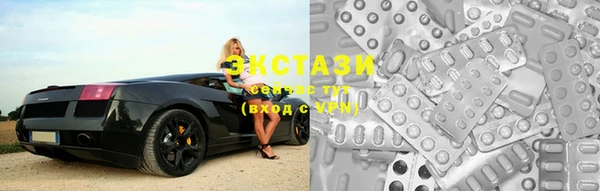 индика Каменка