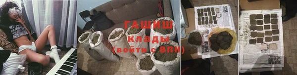 индика Каменка
