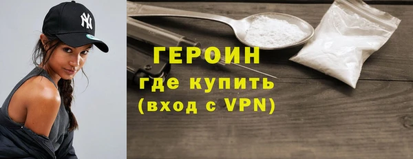 индика Каменка