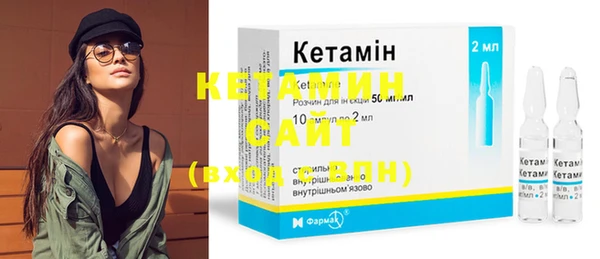 индика Каменка