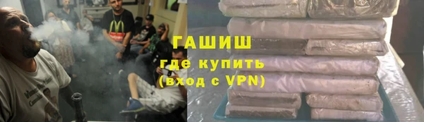 индика Каменка