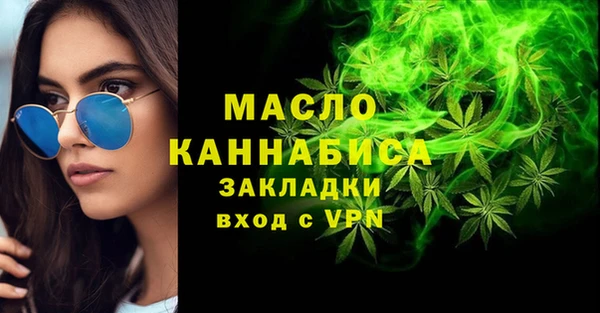 индика Каменка