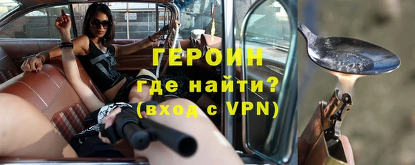 индика Каменка